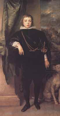 Portrait of prince rupert standing (mk03), Anthony Van Dyck